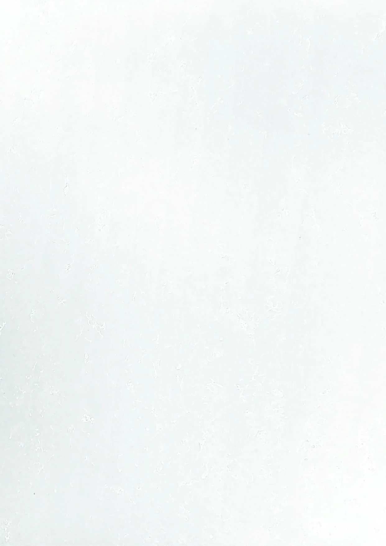 Light grey quartz slab design reference