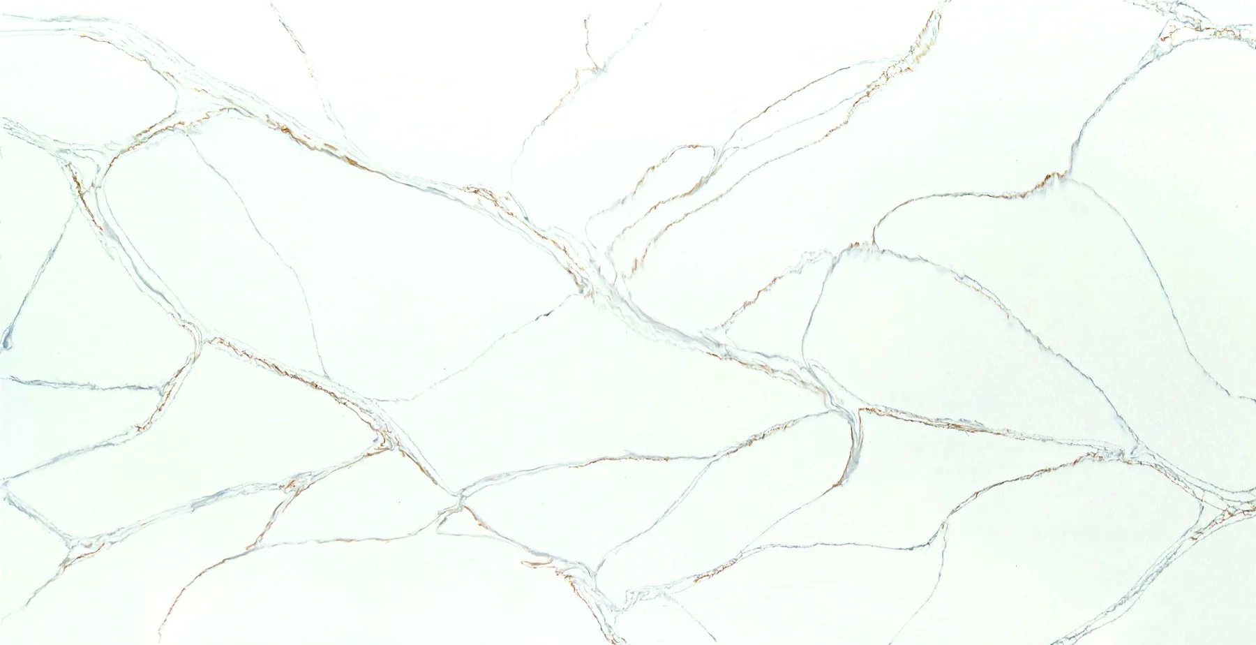 Camrola Quartz Armani