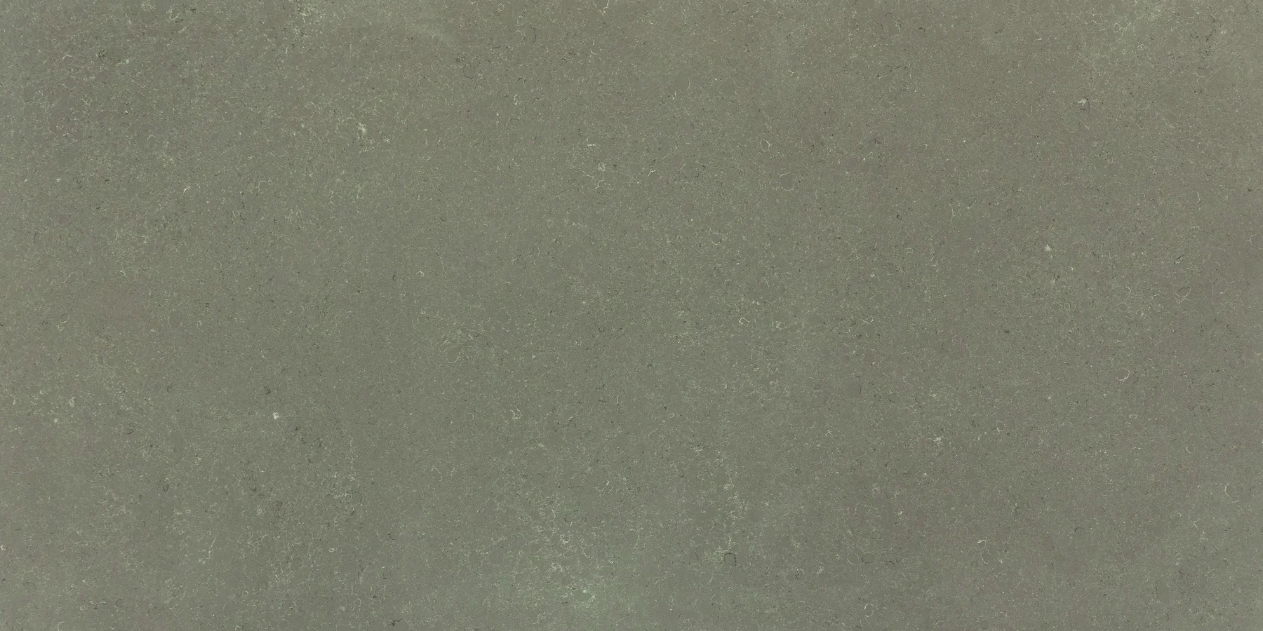 Camrola Quartz Chroma Cafe