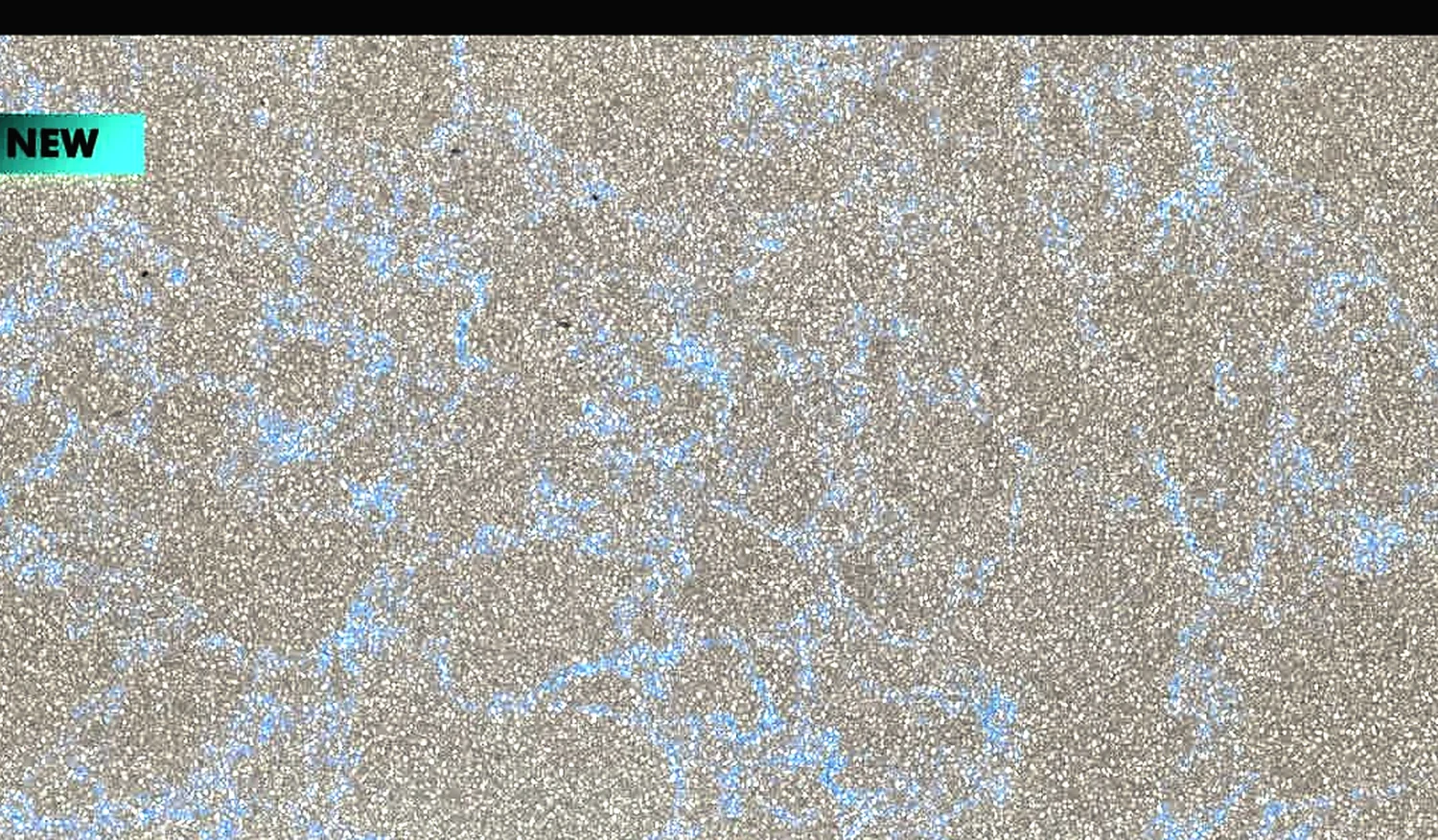 Speckled Grey Quartz