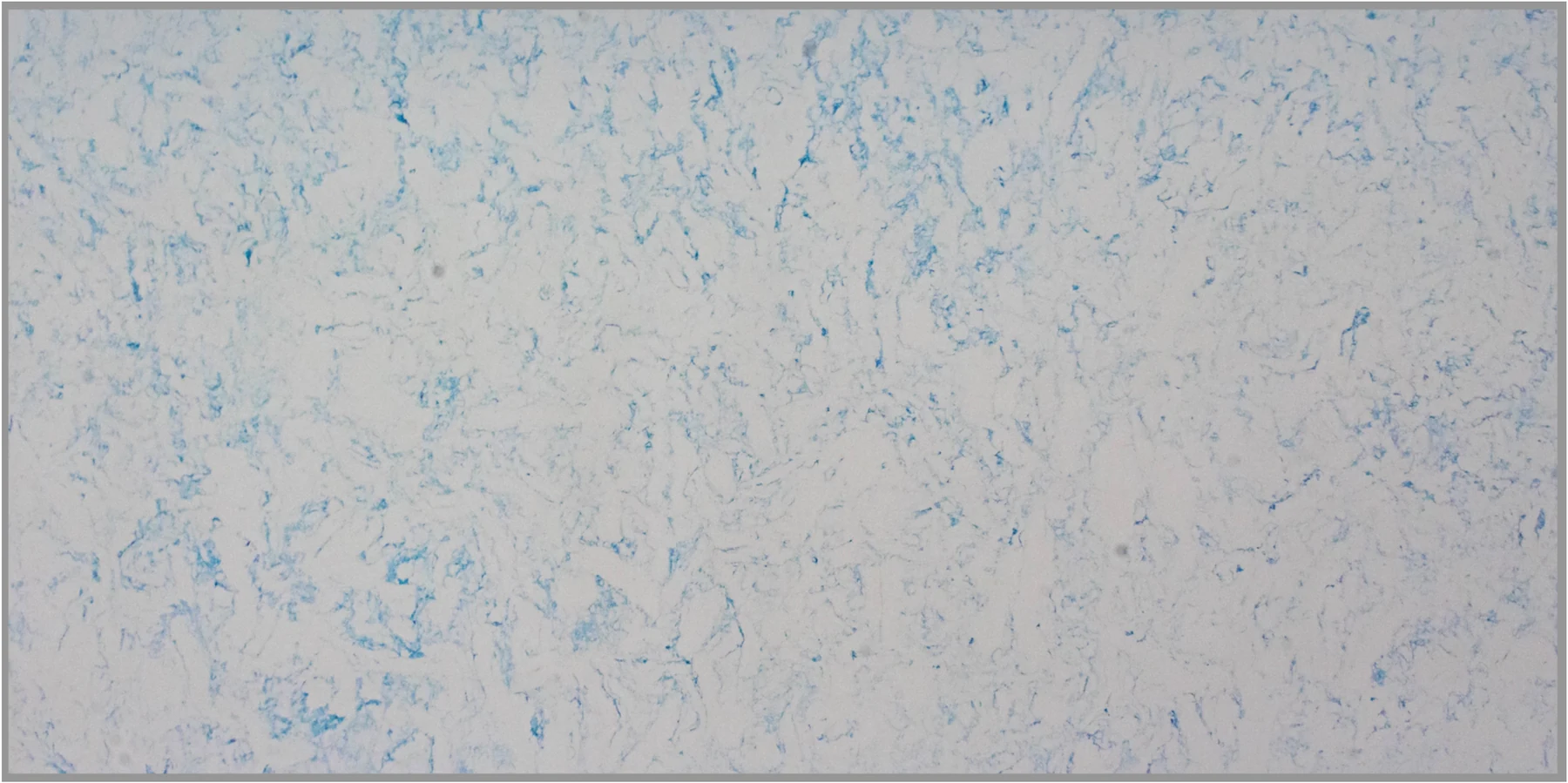 Paradigm Quartz Carrara Blue